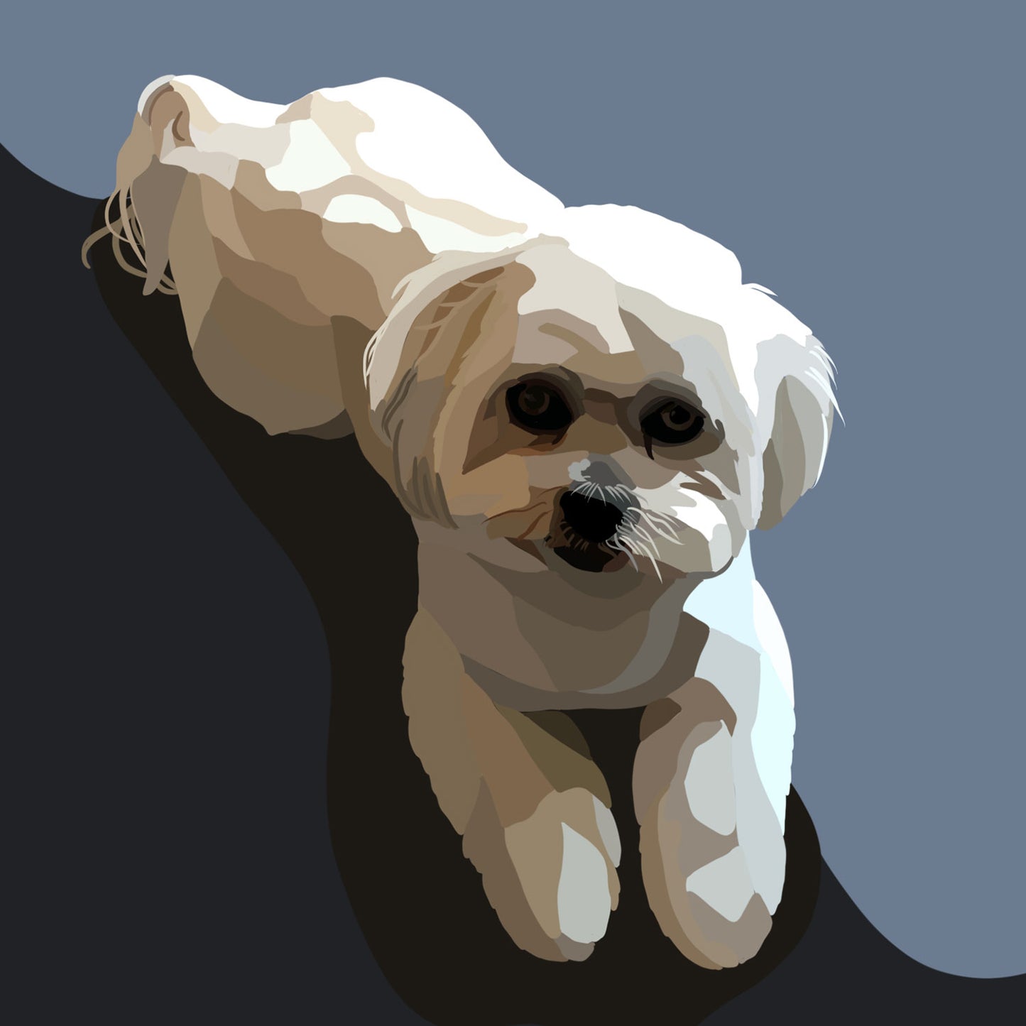 Personalised Pet Art Package